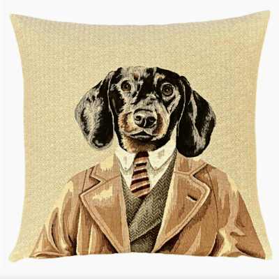 HealthyDog Kissenbezug "Rupert"